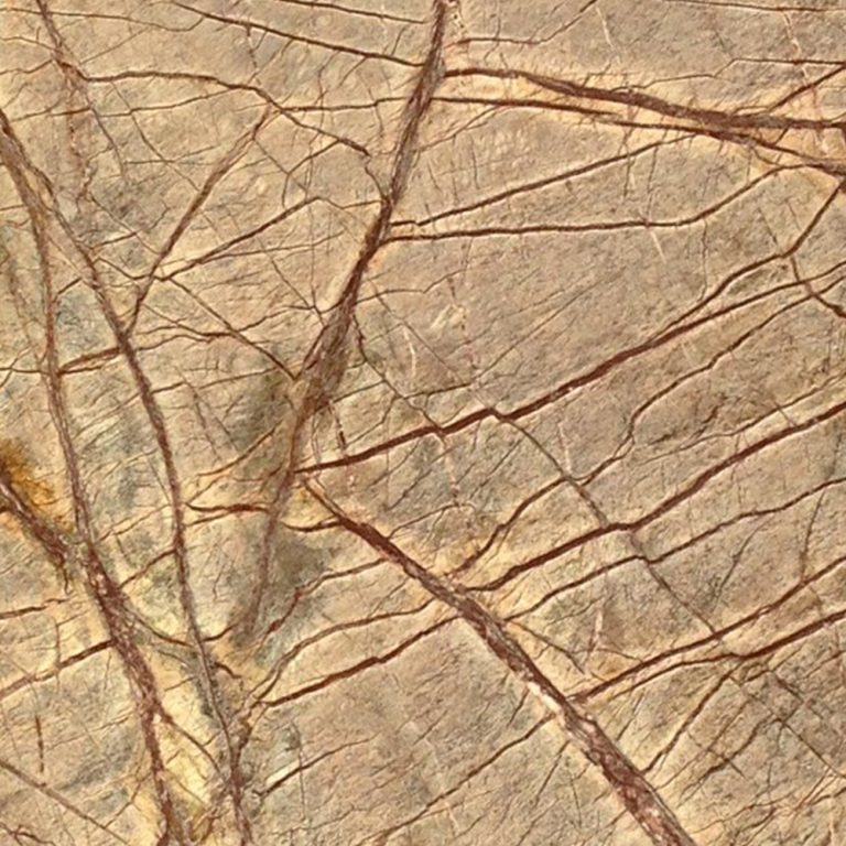 RAIN FOREST BROWN MERMER